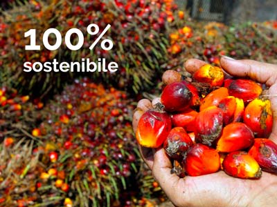 olio di palma coltivazione sostenibile