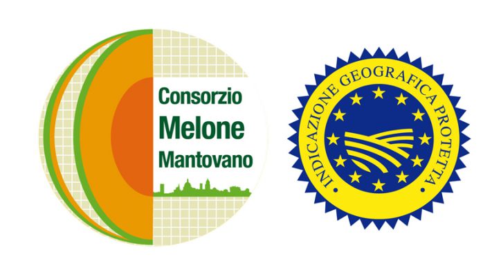 Come scegliere il Melone Mantovano IGP: tutto quello che devi sapere