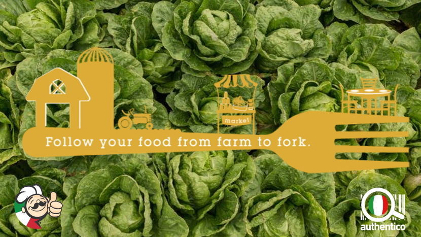 blockchain tracciabilita filiera alimentare food tracking authentico autentico certificazione from farm to fork