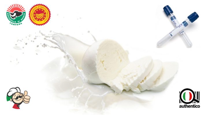 Addio alla mozzarella di bufala tarocca test Cnr-Ispaam Napoli CNR smascherare authentico autentico campana dop
