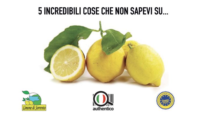 5 incredibili cose che non sapevi sul Limone di Sorrento