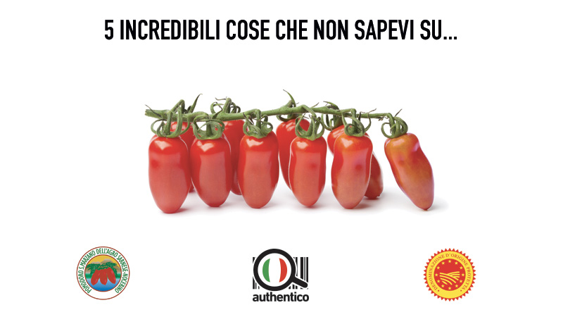pomodoro san marzano agro nocerino sarnese napoli vesuvio vero autentico originale