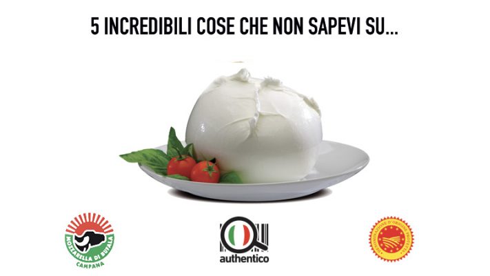 5 incredibili cose che non sapevi sulla Mozzarella di Bufala Campana