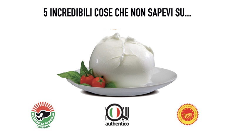 5 incredibili cose che non sapevi sulla Mozzarella di Bufala Campana