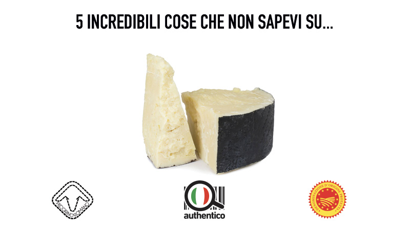 5 incredibili cose che non sapevi sul Pecorino Romano