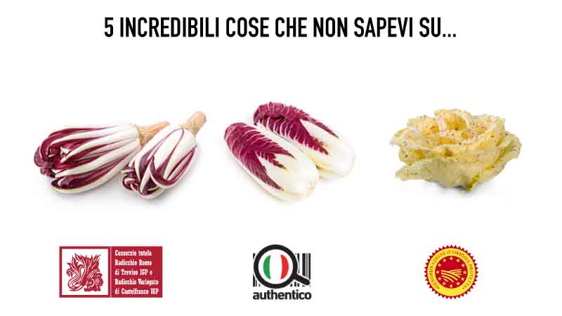 5 incredibili cose che non sapevi sul Radicchio Rosso di Treviso