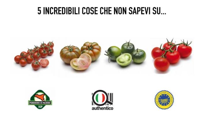 5 incredibili cose che non sapevi sul Pomodoro di Pachino