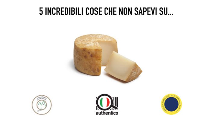 5 incredibili cose che non sapevi sul Pecorino di Carmasciano