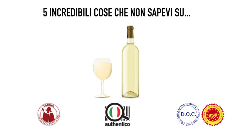 5 incredibili cose che non sapevi sulla Falanghina del Sannio