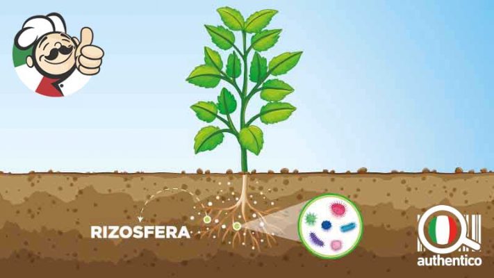 agricoltura simbiotica e sostenibilità