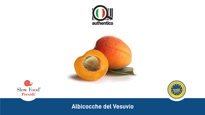 ALBICOCCHE DEL VESUVIO CRISOMMOLE