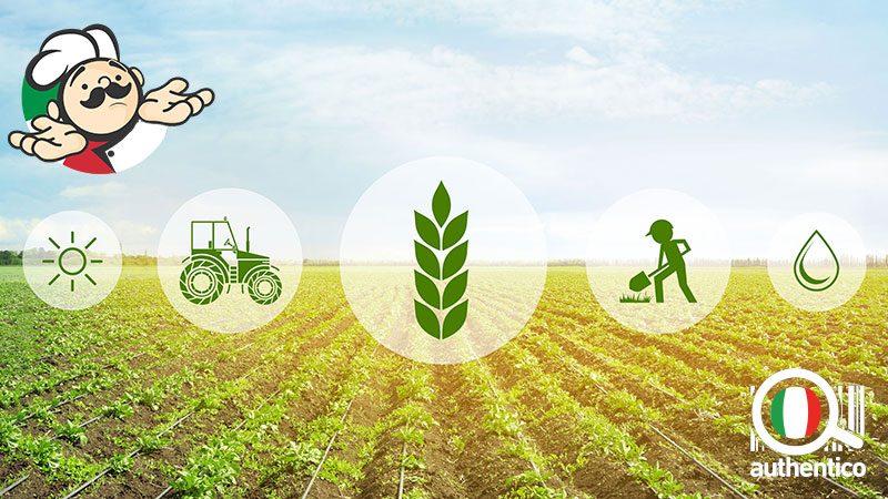 startup agrifood sostenibili boom mondiale