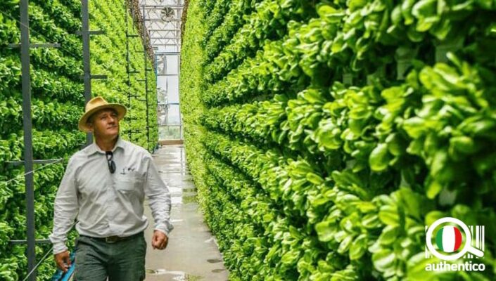 agricoltura verticale vertical farm farming idroponica aeroponica acquaponica coltivazione biologica sfera planet farm vantaggi rischi opportunità sapore gusto bio