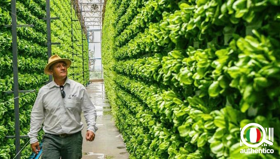 agricoltura verticale vertical farm farming idroponica aeroponica acquaponica coltivazione biologica sfera planet farm vantaggi rischi opportunità sapore gusto bio