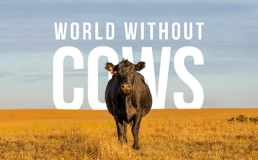 world-without-cows-mondo-senza-carne-sintetica